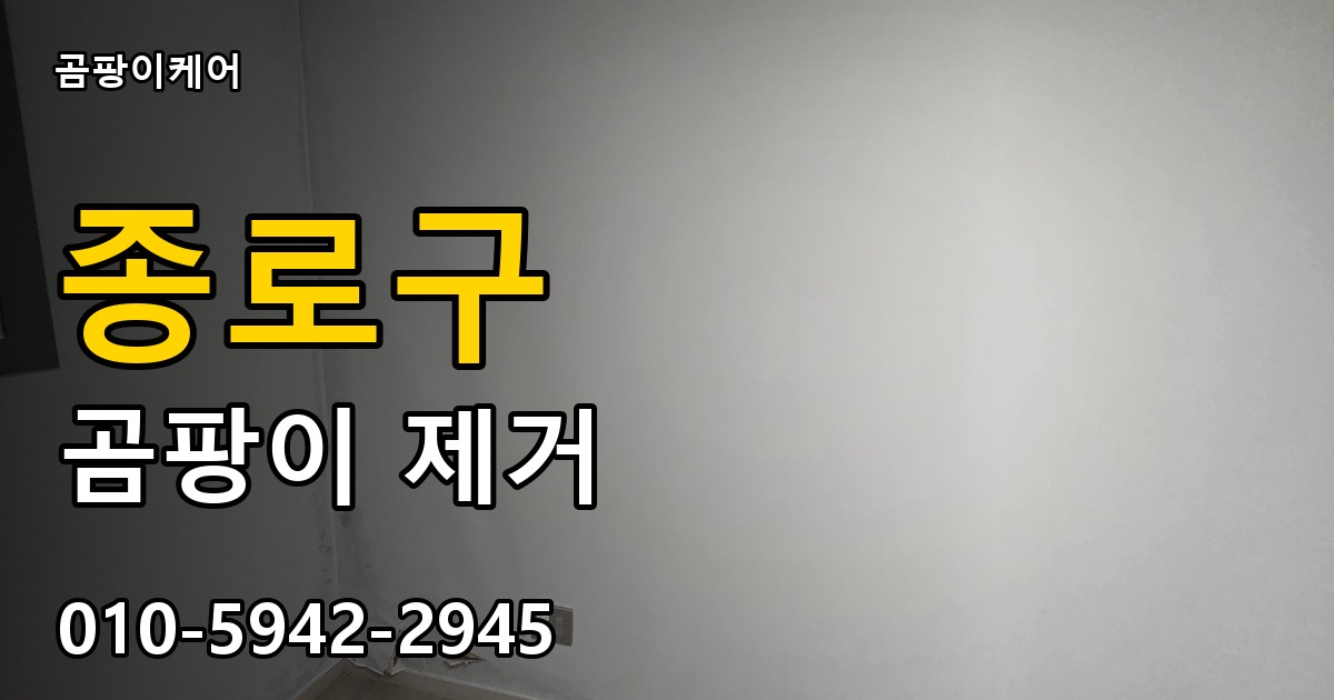 종로구 곰팡이 제거 - 곰팡이케어 실제 시공 현장