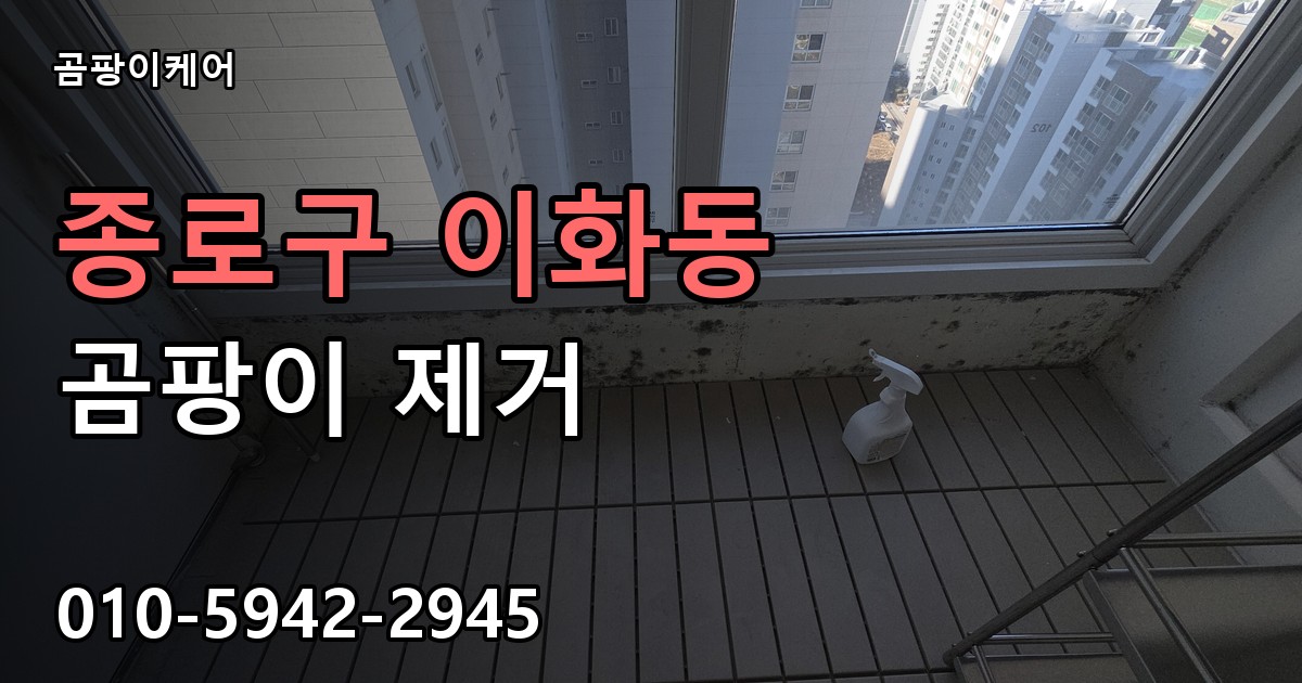 종로구 이화동 곰팡이 제거 - 곰팡이케어 실제 시공 현장
