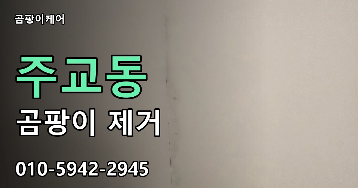 주교동 곰팡이 제거 - 곰팡이케어 실제 시공 현장