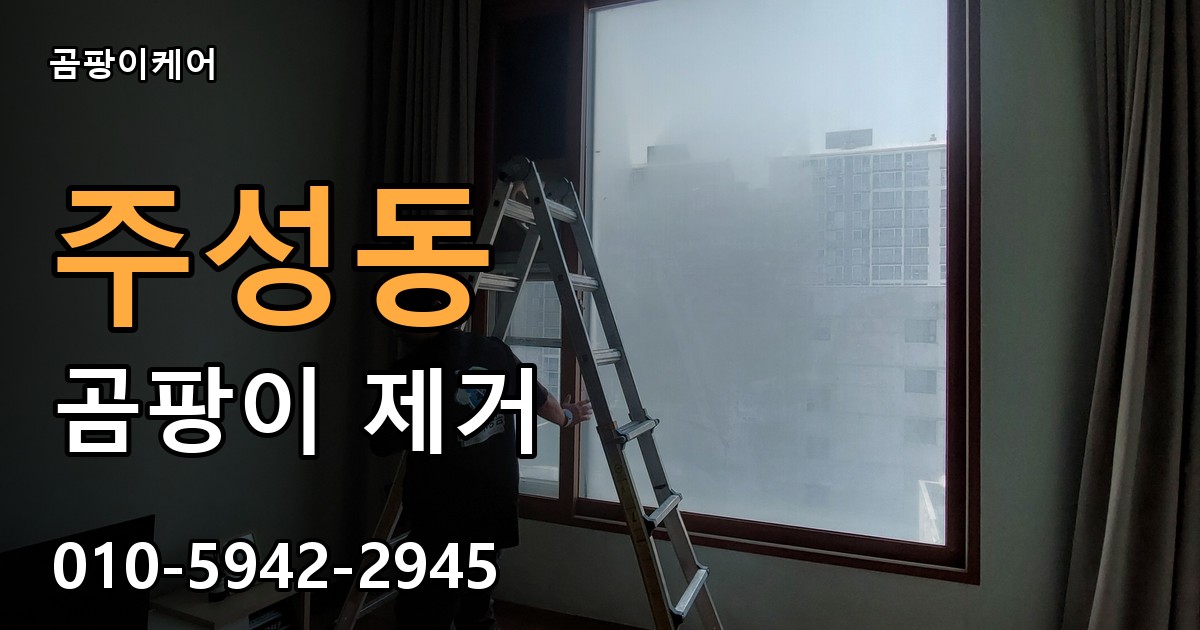 주성동 곰팡이 제거 - 곰팡이케어 실제 시공 현장