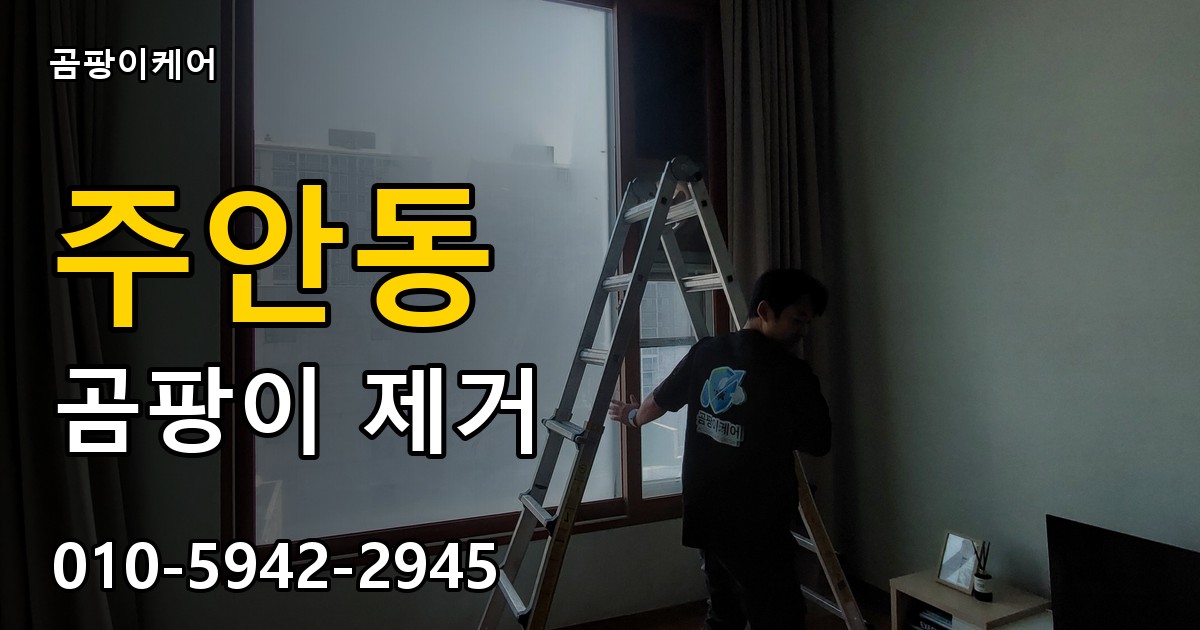 주안동 곰팡이 제거 - 곰팡이케어 실제 시공 현장