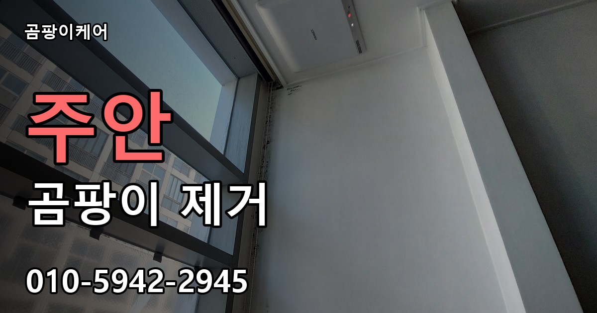 주안 곰팡이 제거 - 곰팡이케어 실제 시공 현장