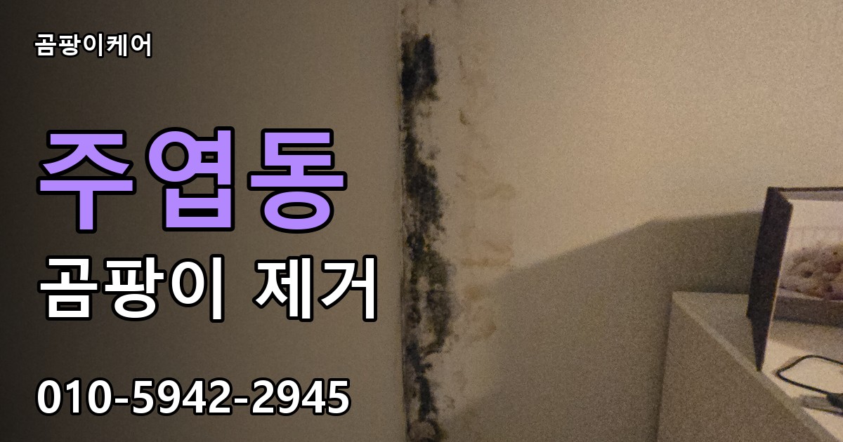 주엽동 곰팡이 제거 - 곰팡이케어 실제 시공 현장