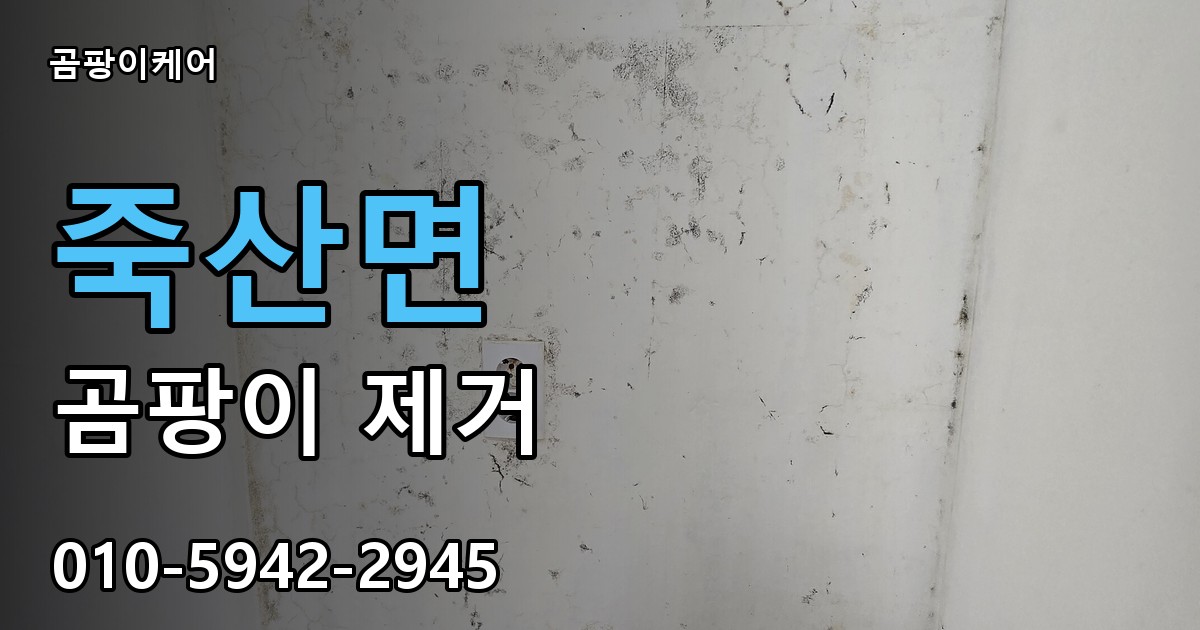 죽산면 곰팡이 제거 - 곰팡이케어 실제 시공 현장
