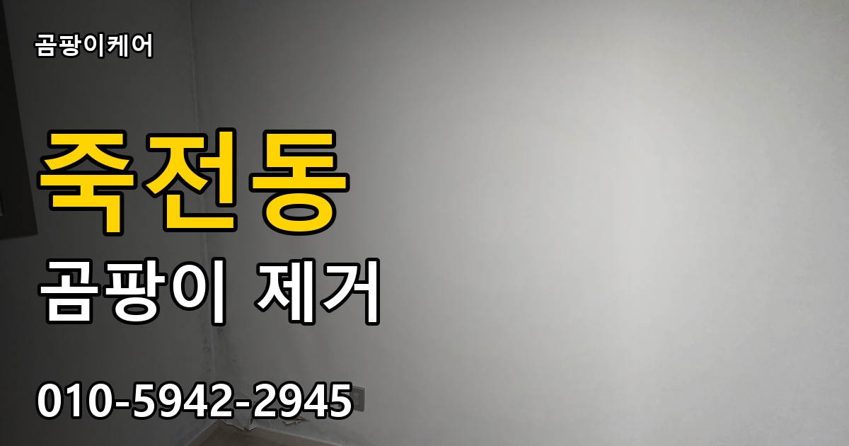 죽전동 곰팡이 제거 - 곰팡이케어 실제 시공 현장