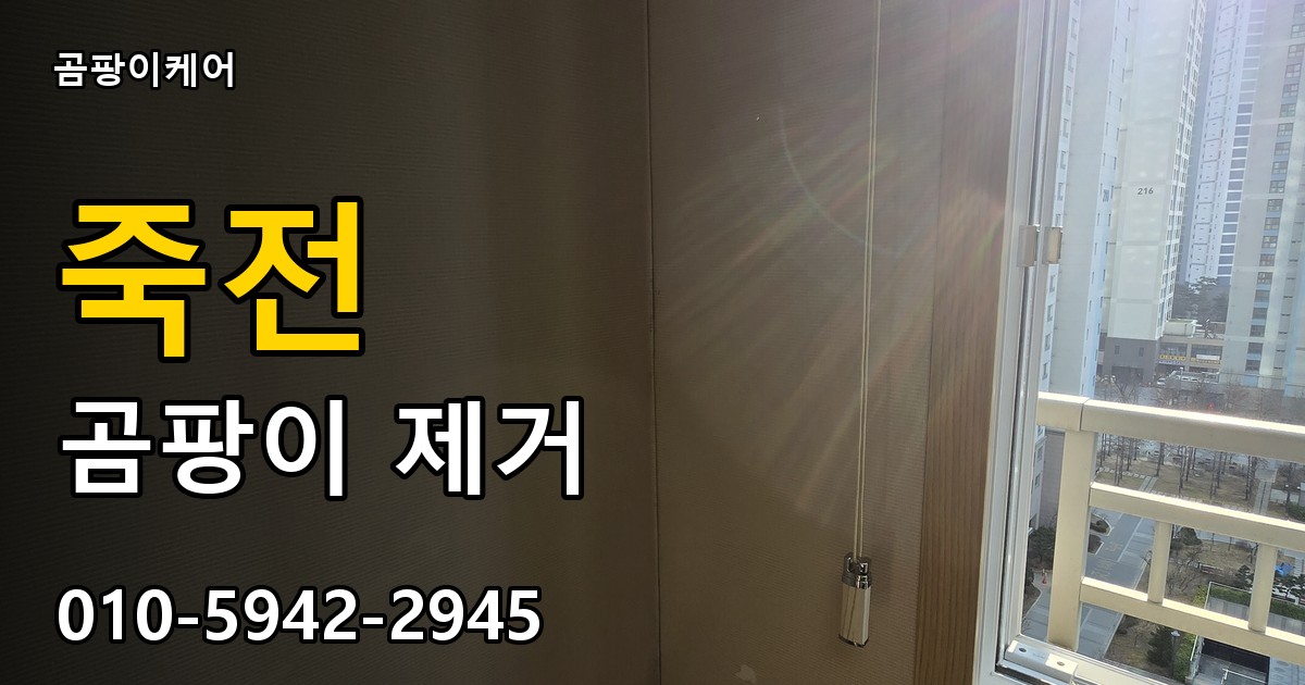 죽전 곰팡이 제거 - 곰팡이케어 실제 시공 현장