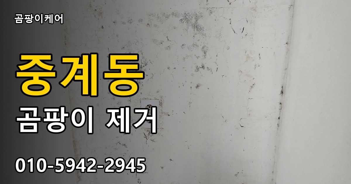 중계동 곰팡이 제거 - 곰팡이케어 실제 시공 현장