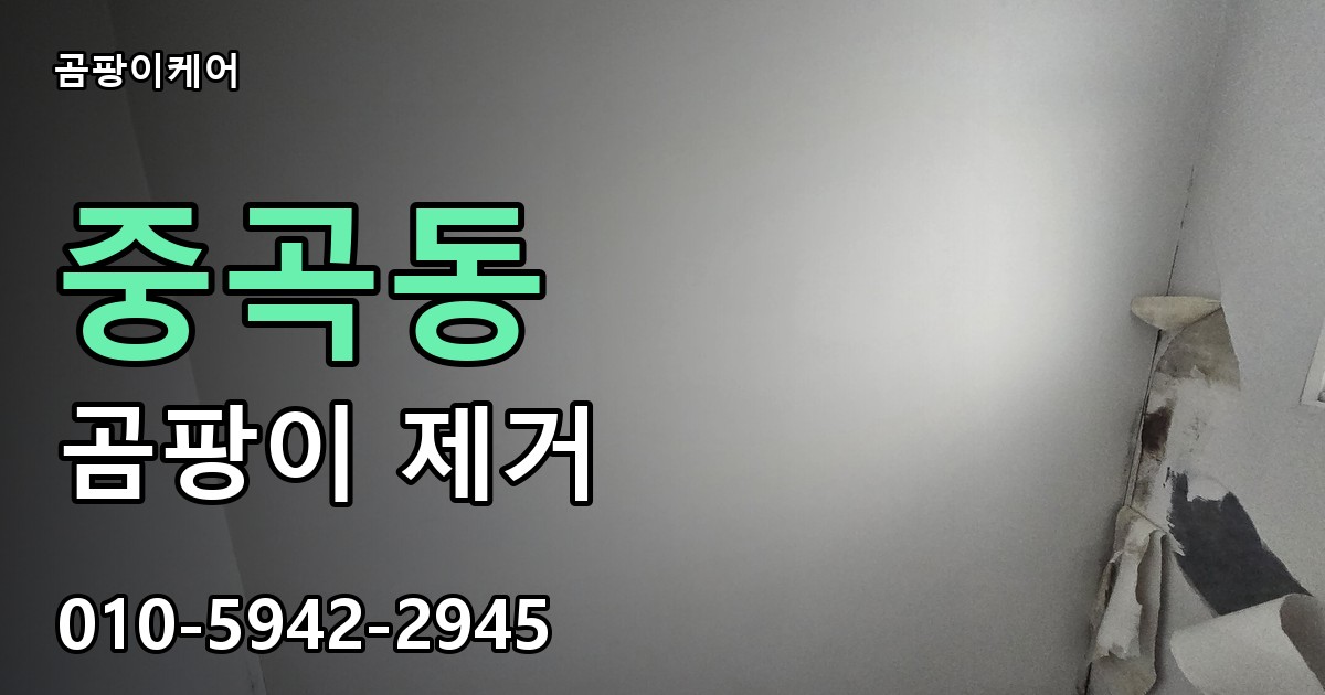 중곡동 곰팡이 제거 - 곰팡이케어 실제 시공 현장