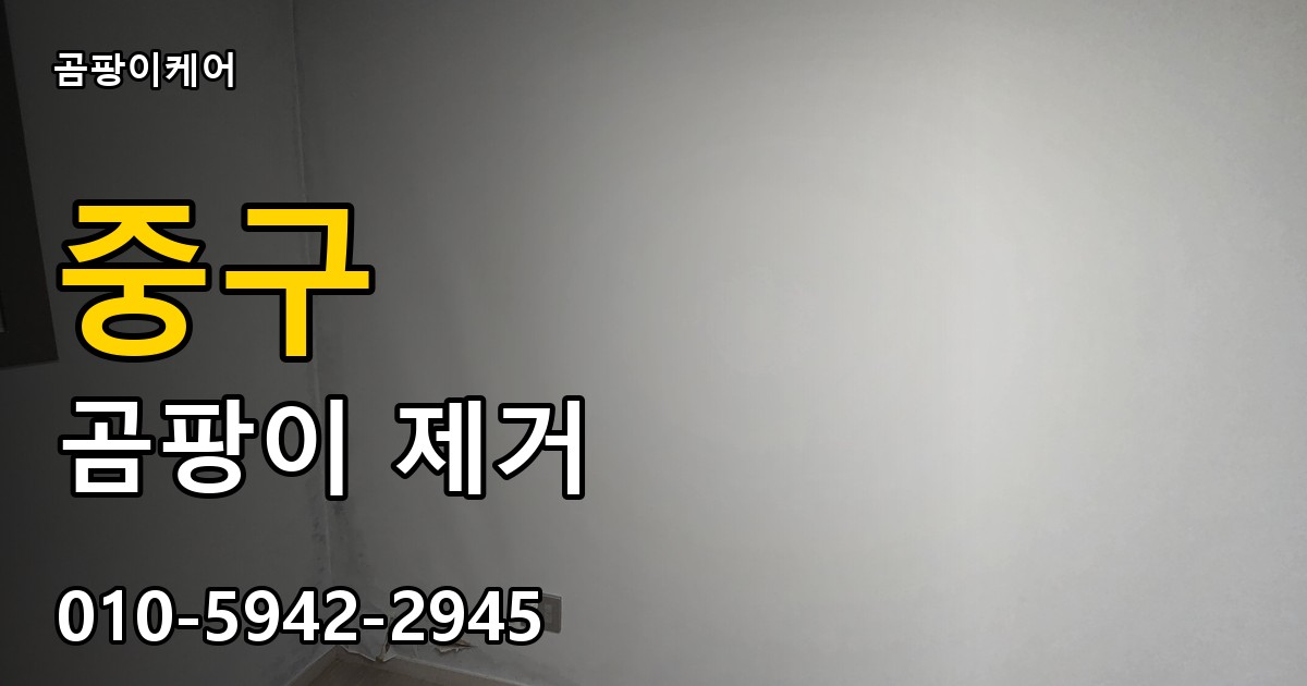 중구 곰팡이 제거 - 곰팡이케어 실제 시공 현장