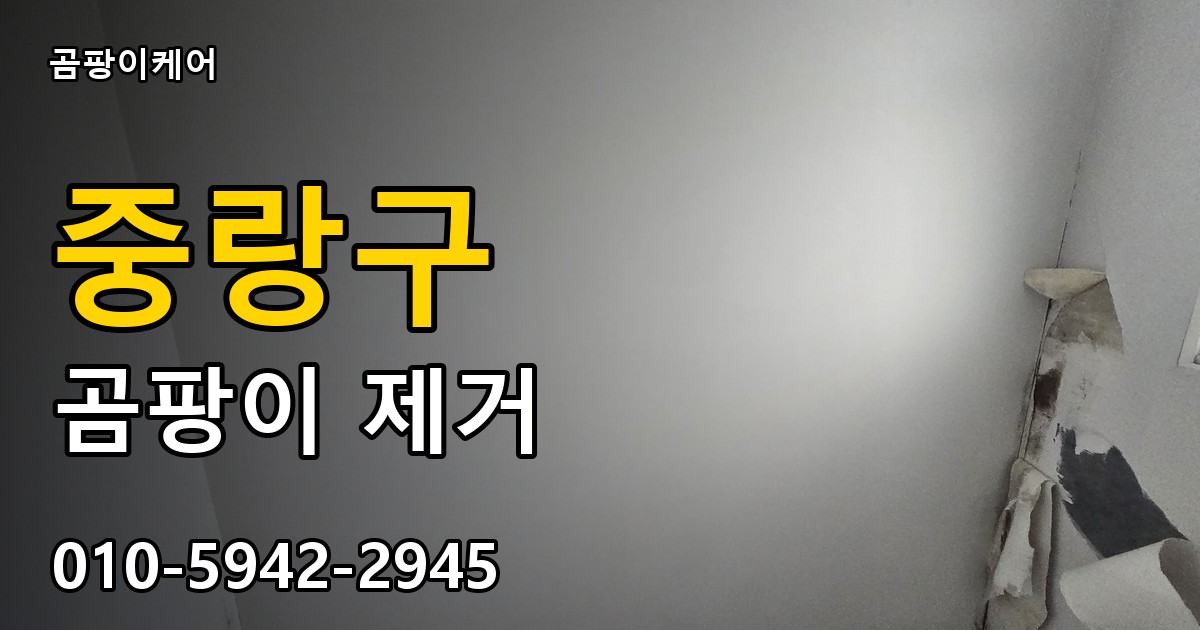 중랑구 곰팡이 제거 - 곰팡이케어 실제 시공 현장