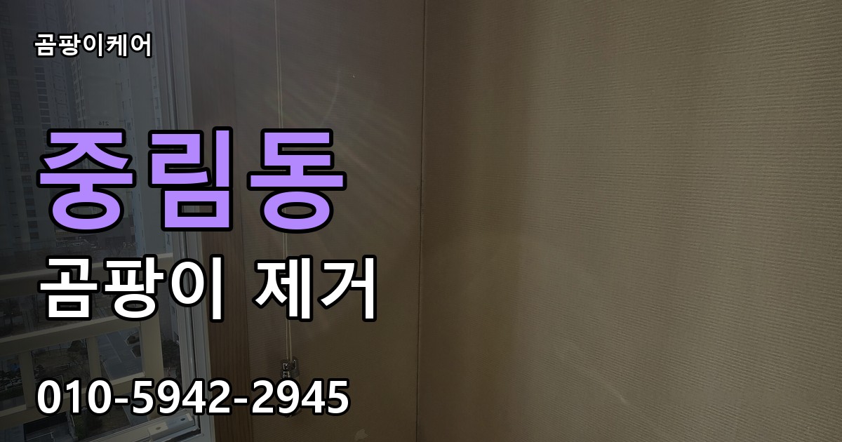 중림동 곰팡이 제거 - 곰팡이케어 실제 시공 현장