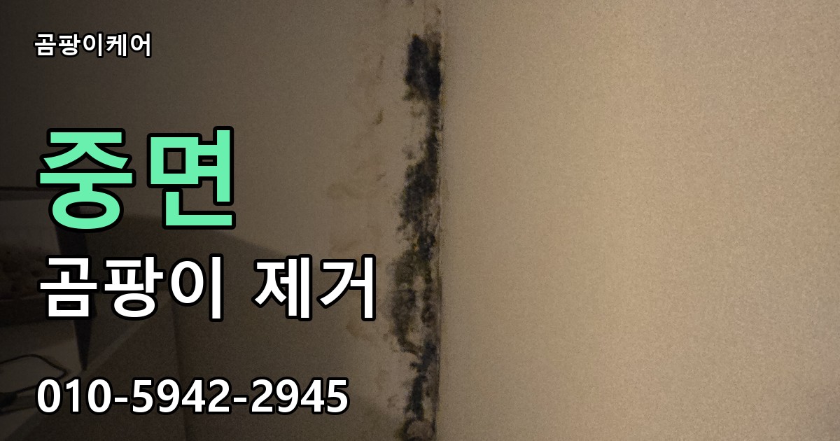 중면 곰팡이 제거 - 곰팡이케어 실제 시공 현장