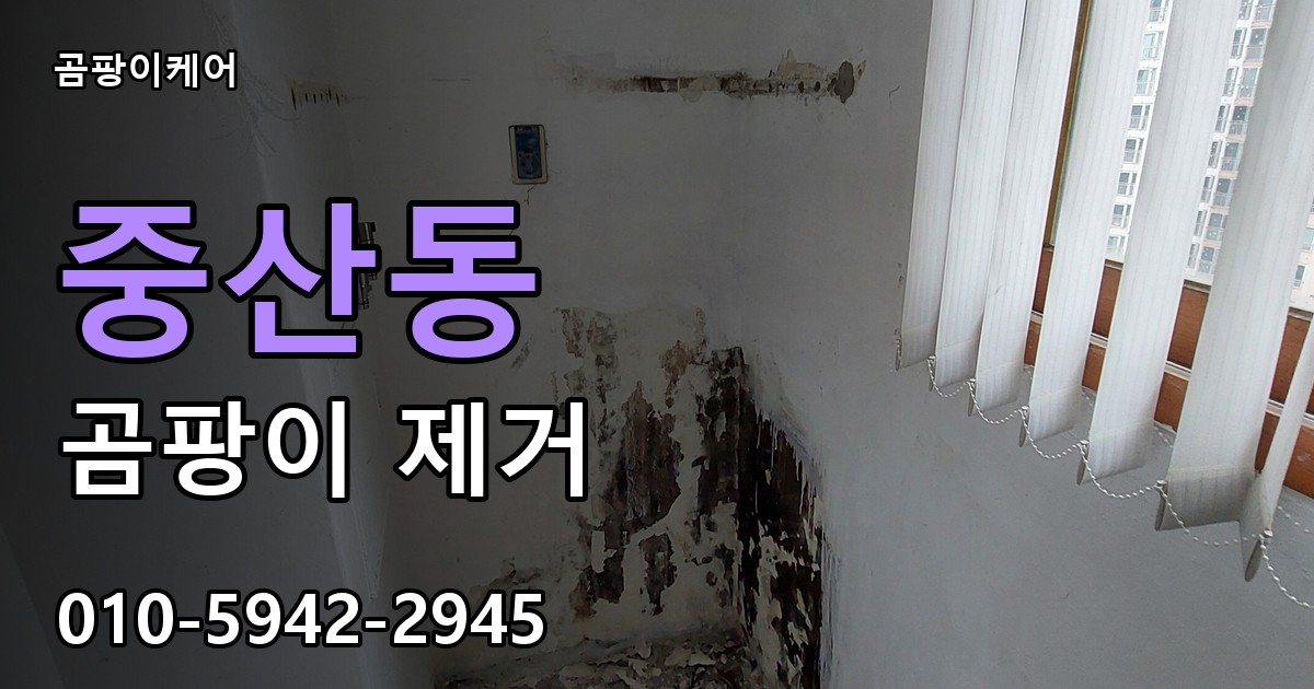 중산동 곰팡이 제거 - 곰팡이케어 실제 시공 현장