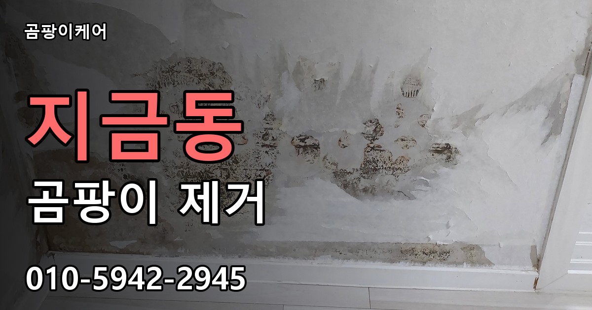 지금동 곰팡이 제거 - 곰팡이케어 실제 시공 현장