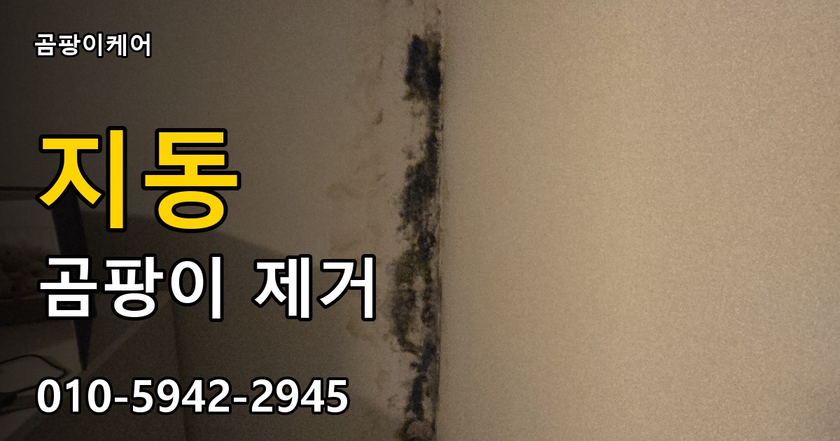 지동 곰팡이 제거 - 곰팡이케어 실제 시공 현장