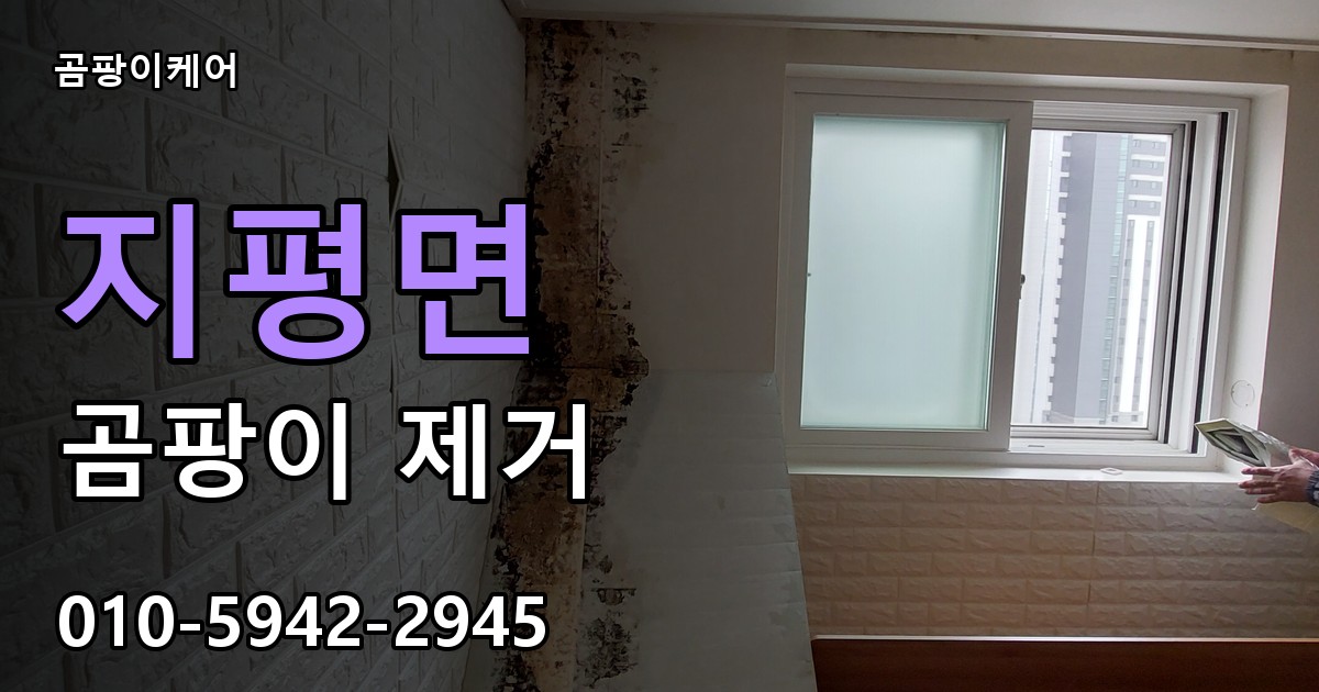 지평면 곰팡이 제거 - 곰팡이케어 실제 시공 현장