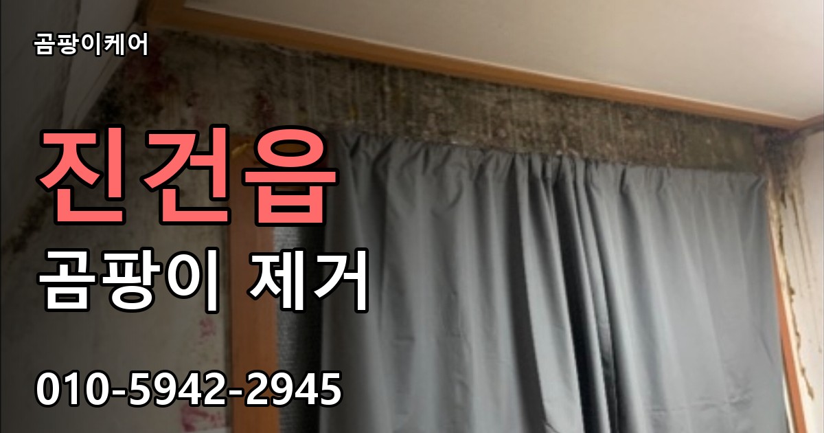 진건읍 곰팡이 제거 - 곰팡이케어 실제 시공 현장