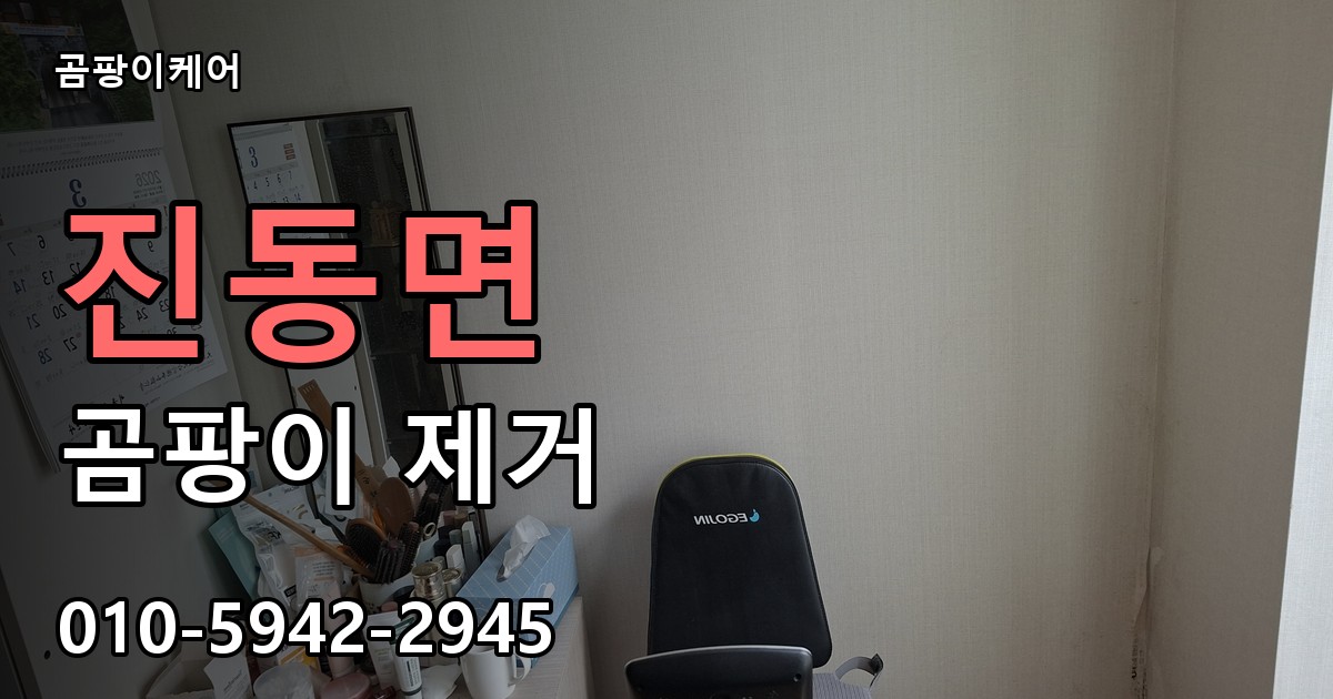 진동면 곰팡이 제거 - 곰팡이케어 실제 시공 현장