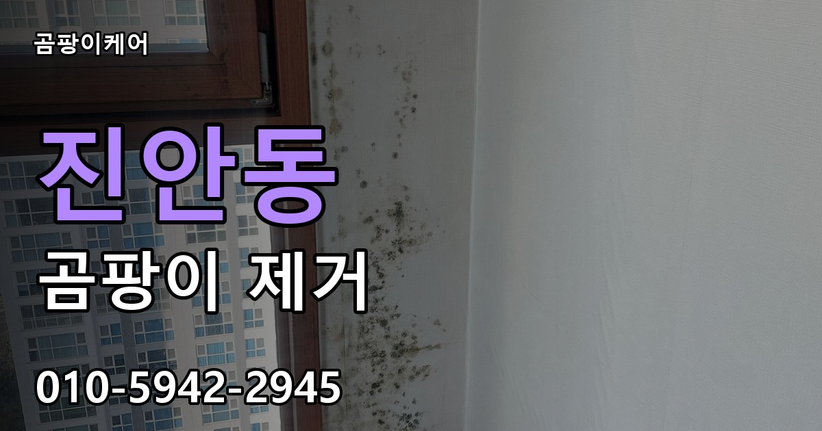 진안동 곰팡이 제거 - 곰팡이케어 실제 시공 현장
