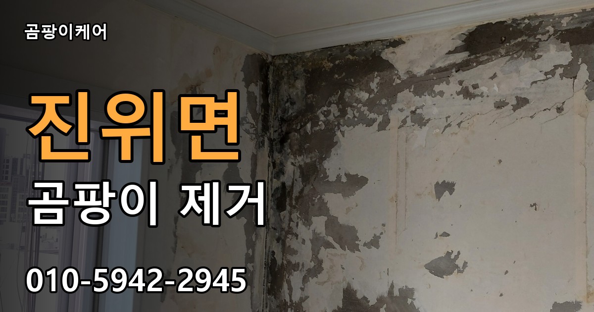 진위면 곰팡이 제거 - 곰팡이케어 실제 시공 현장