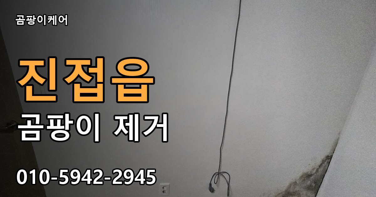 진접읍 곰팡이 제거 - 곰팡이케어 실제 시공 현장