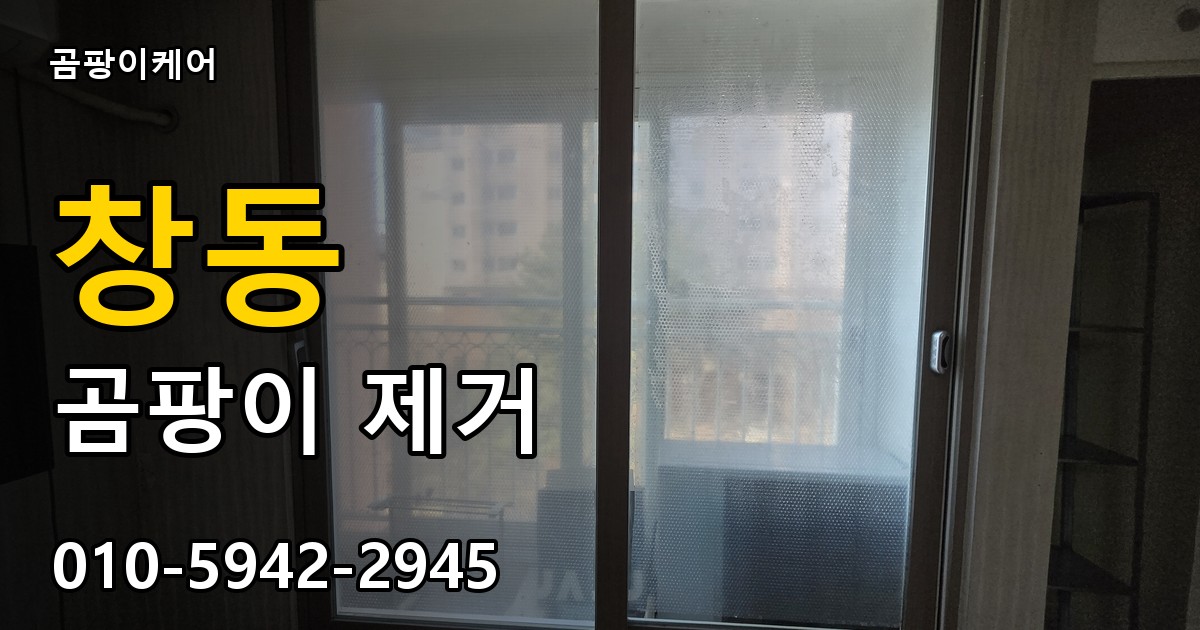 창동 곰팡이 제거 - 곰팡이케어 실제 시공 현장