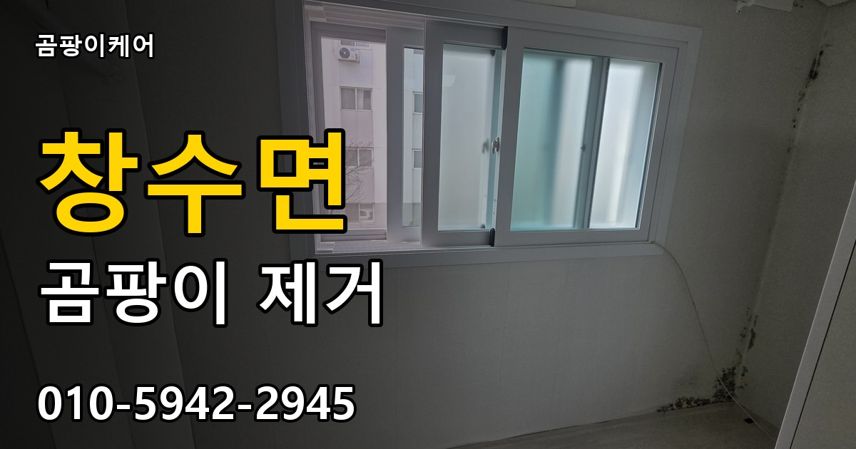 창수면 곰팡이 제거 - 곰팡이케어 실제 시공 현장