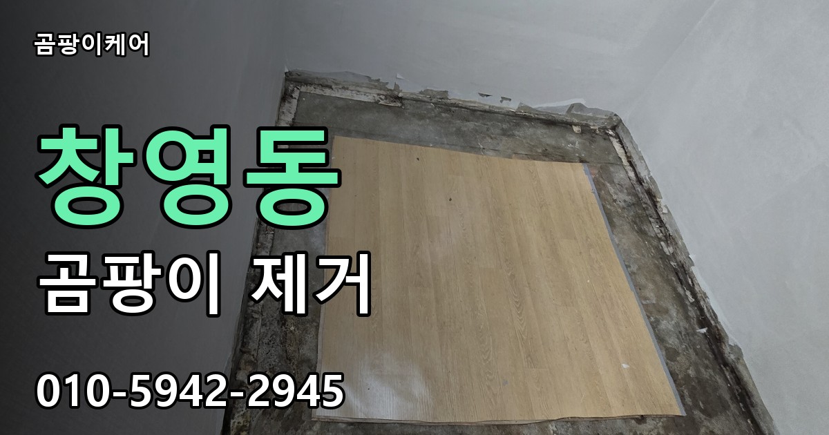 창영동 곰팡이 제거 - 곰팡이케어 실제 시공 현장