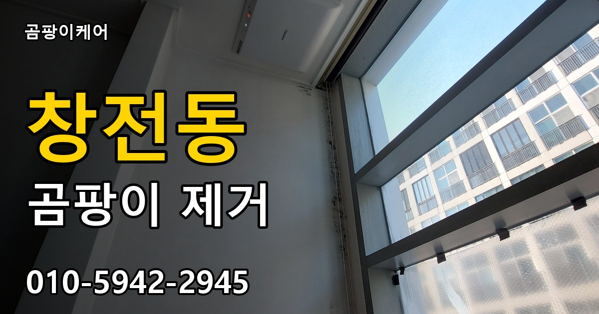 창전동 곰팡이 제거 - 곰팡이케어 실제 시공 현장
