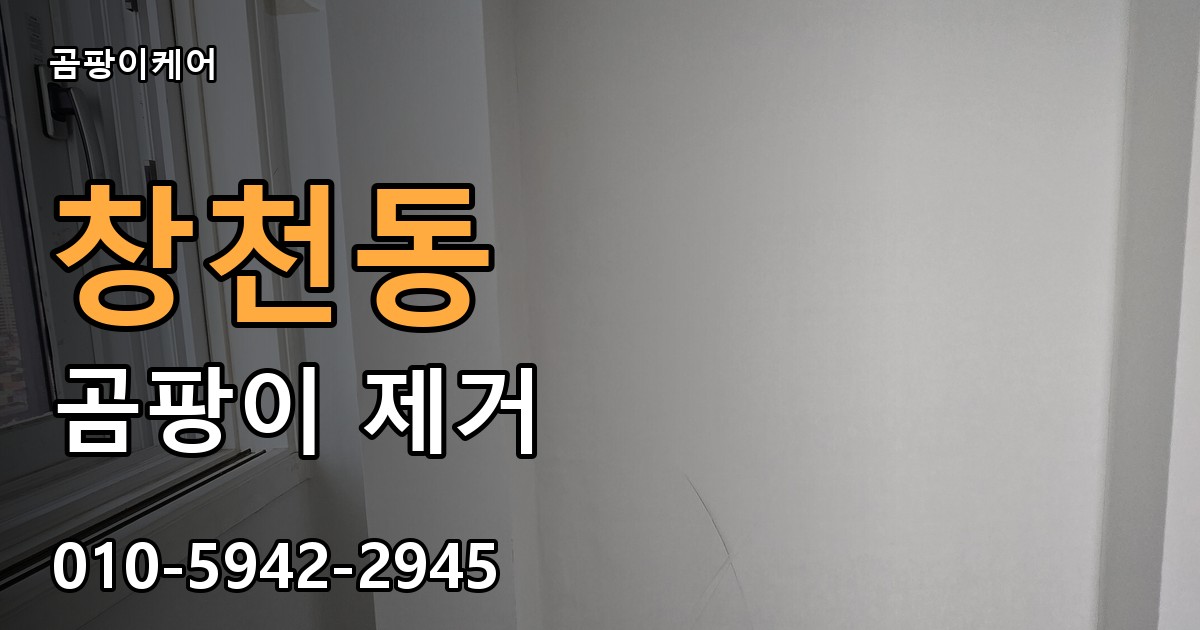 창천동 곰팡이 제거 - 곰팡이케어 실제 시공 현장