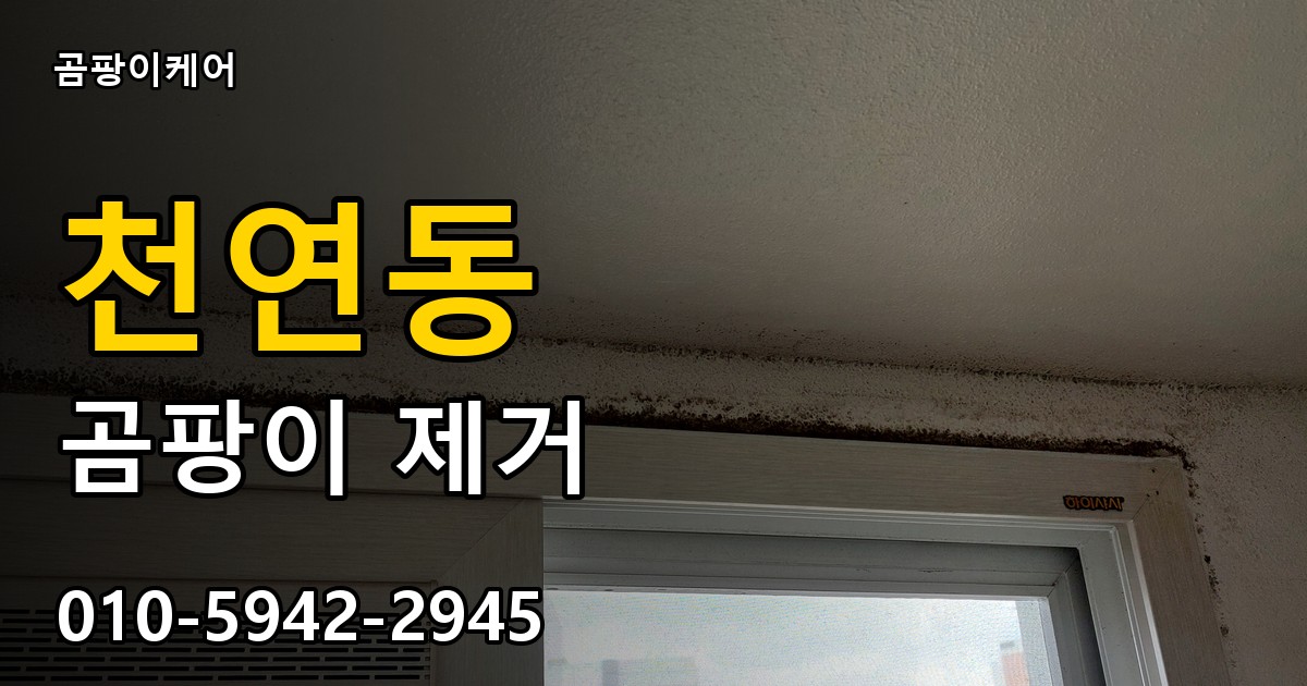 천연동 곰팡이 제거 - 곰팡이케어 실제 시공 현장