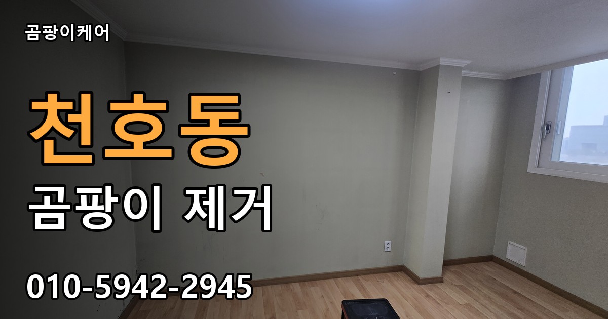 천호동 곰팡이 제거 - 곰팡이케어 실제 시공 현장