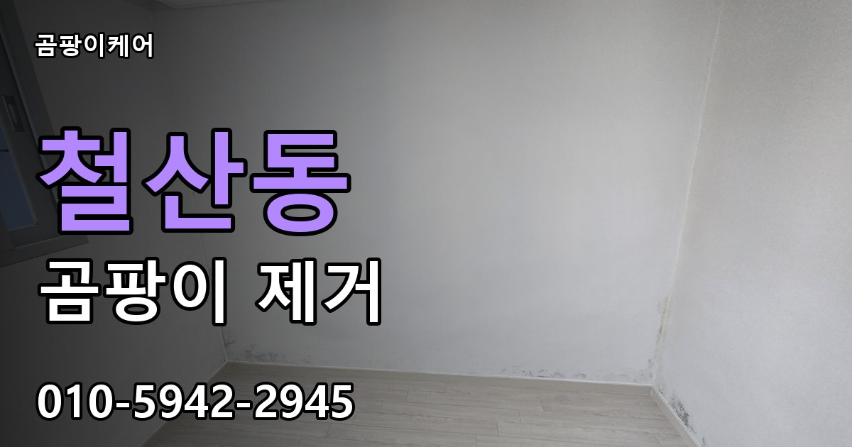 철산동 곰팡이 제거 - 곰팡이케어 실제 시공 현장