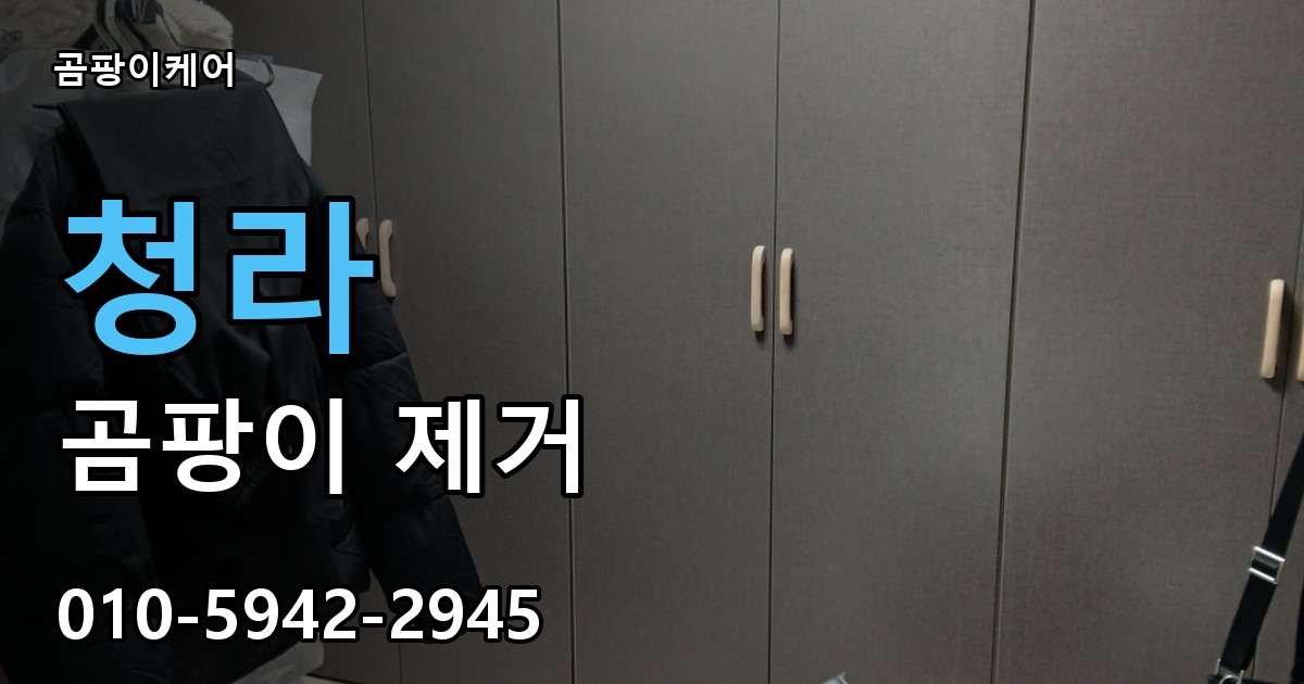 청라 곰팡이 제거 - 곰팡이케어 실제 시공 현장
