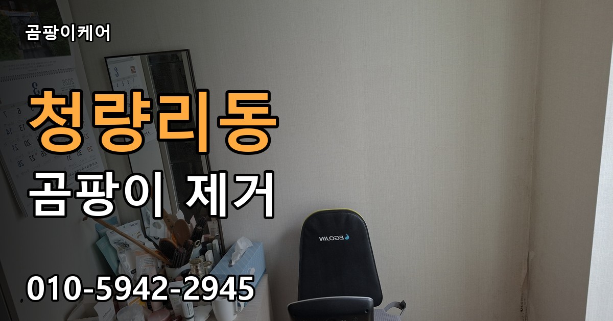 청량리동 곰팡이 제거 - 곰팡이케어 실제 시공 현장