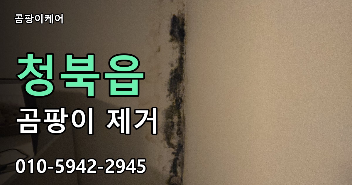 청북읍 곰팡이 제거 - 곰팡이케어 실제 시공 현장