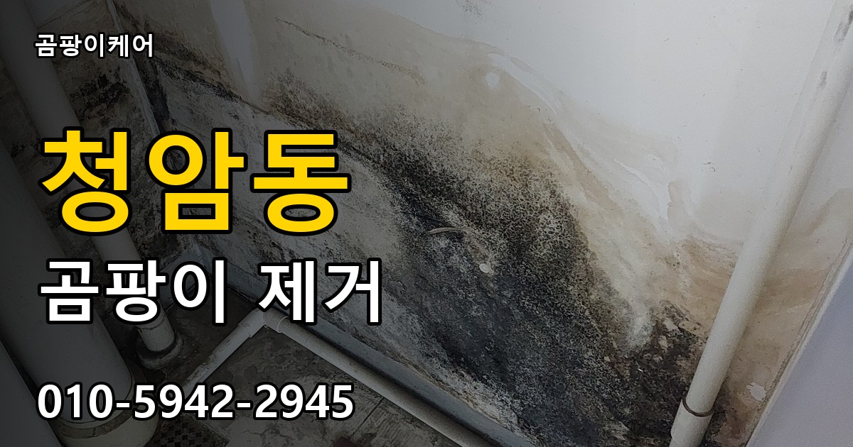 청암동 곰팡이 제거 - 곰팡이케어 실제 시공 현장