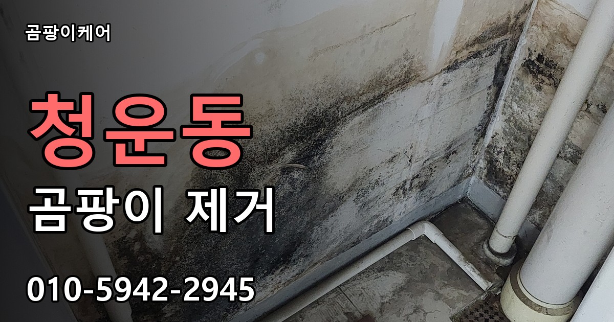 청운동 곰팡이 제거 - 곰팡이케어 실제 시공 현장
