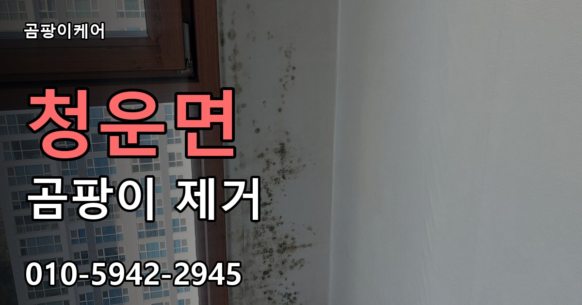 청운면 곰팡이 제거 - 곰팡이케어 실제 시공 현장