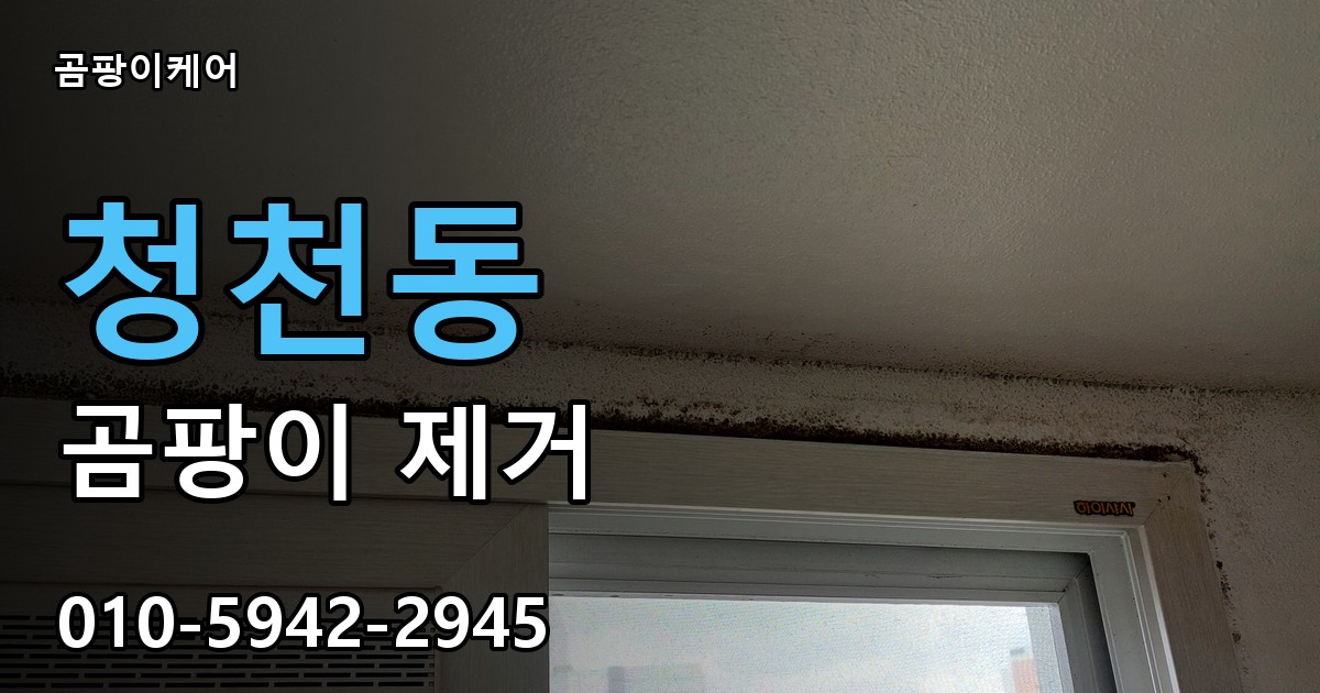 청천동 곰팡이 제거 - 곰팡이케어 실제 시공 현장