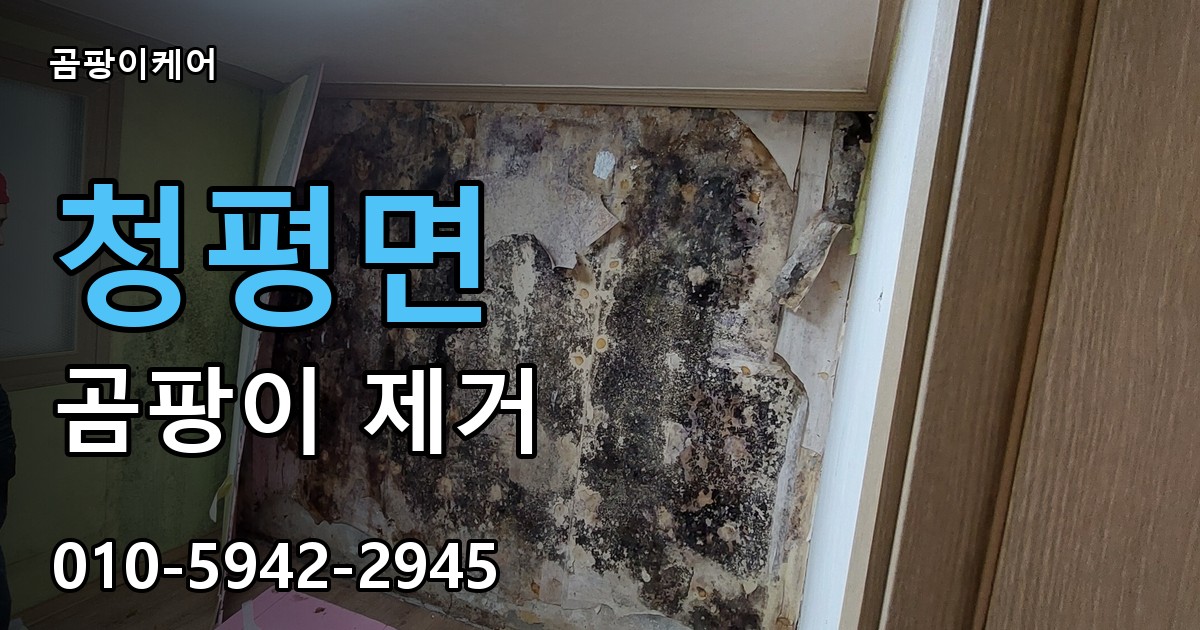 청평면 곰팡이 제거 - 곰팡이케어 실제 시공 현장