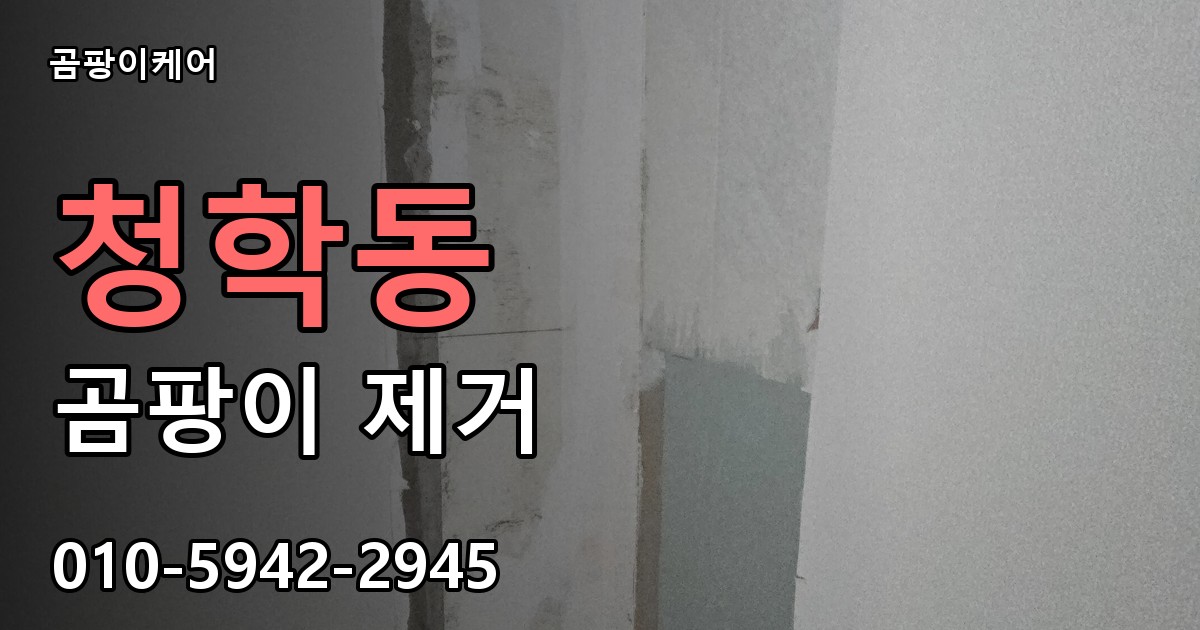 청학동 곰팡이 제거 - 곰팡이케어 실제 시공 현장