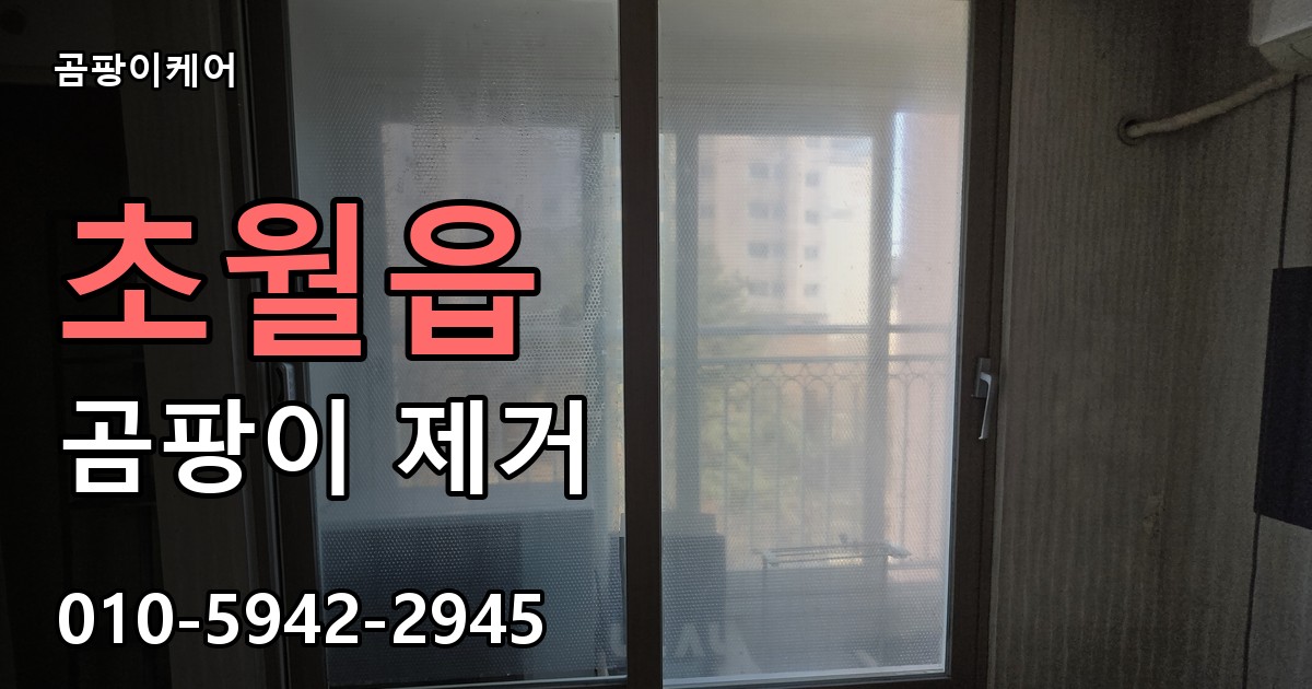 초월읍 곰팡이 제거 - 곰팡이케어 실제 시공 현장