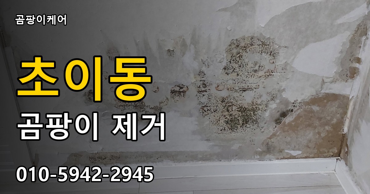 초이동 곰팡이 제거 - 곰팡이케어 실제 시공 현장