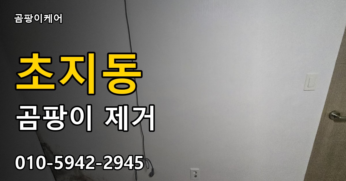 초지동 곰팡이 제거 - 곰팡이케어 실제 시공 현장