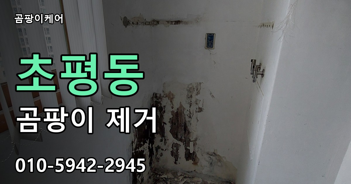 초평동 곰팡이 제거 - 곰팡이케어 실제 시공 현장