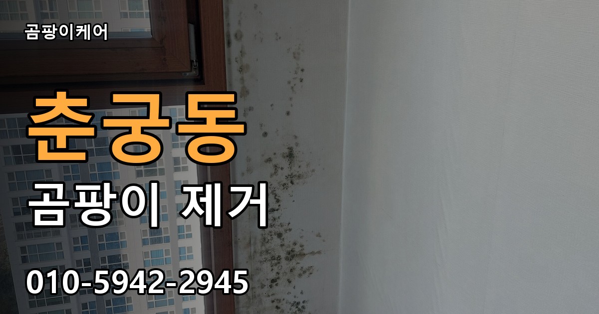 춘궁동 곰팡이 제거 - 곰팡이케어 실제 시공 현장