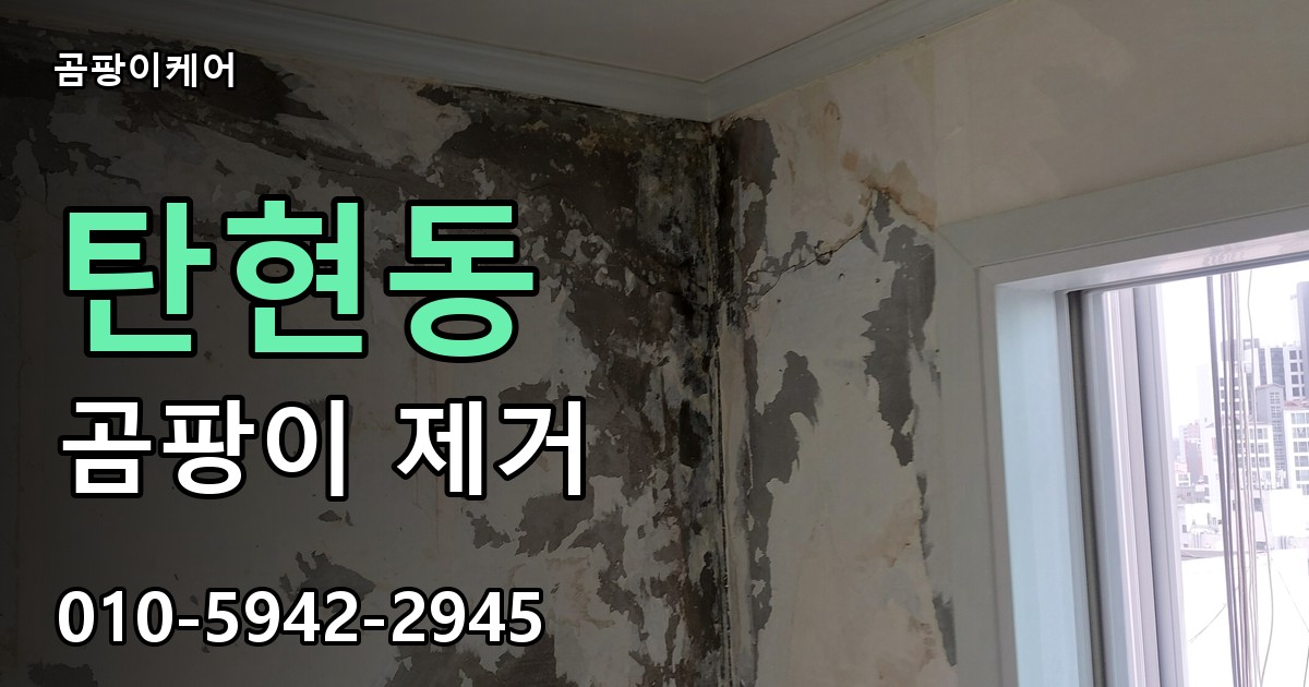 탄현동 곰팡이 제거 - 곰팡이케어 실제 시공 현장