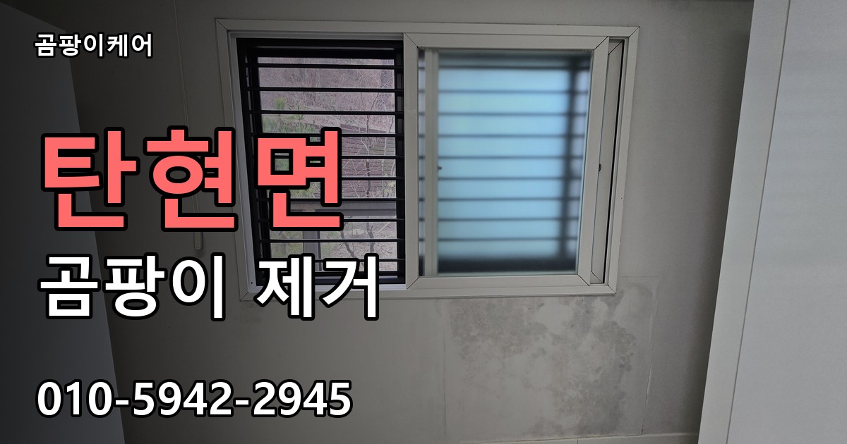 탄현면 곰팡이 제거 - 곰팡이케어 실제 시공 현장