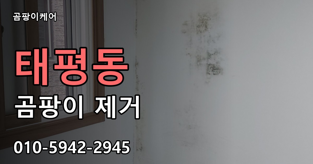 태평동 곰팡이 제거 - 곰팡이케어 실제 시공 현장